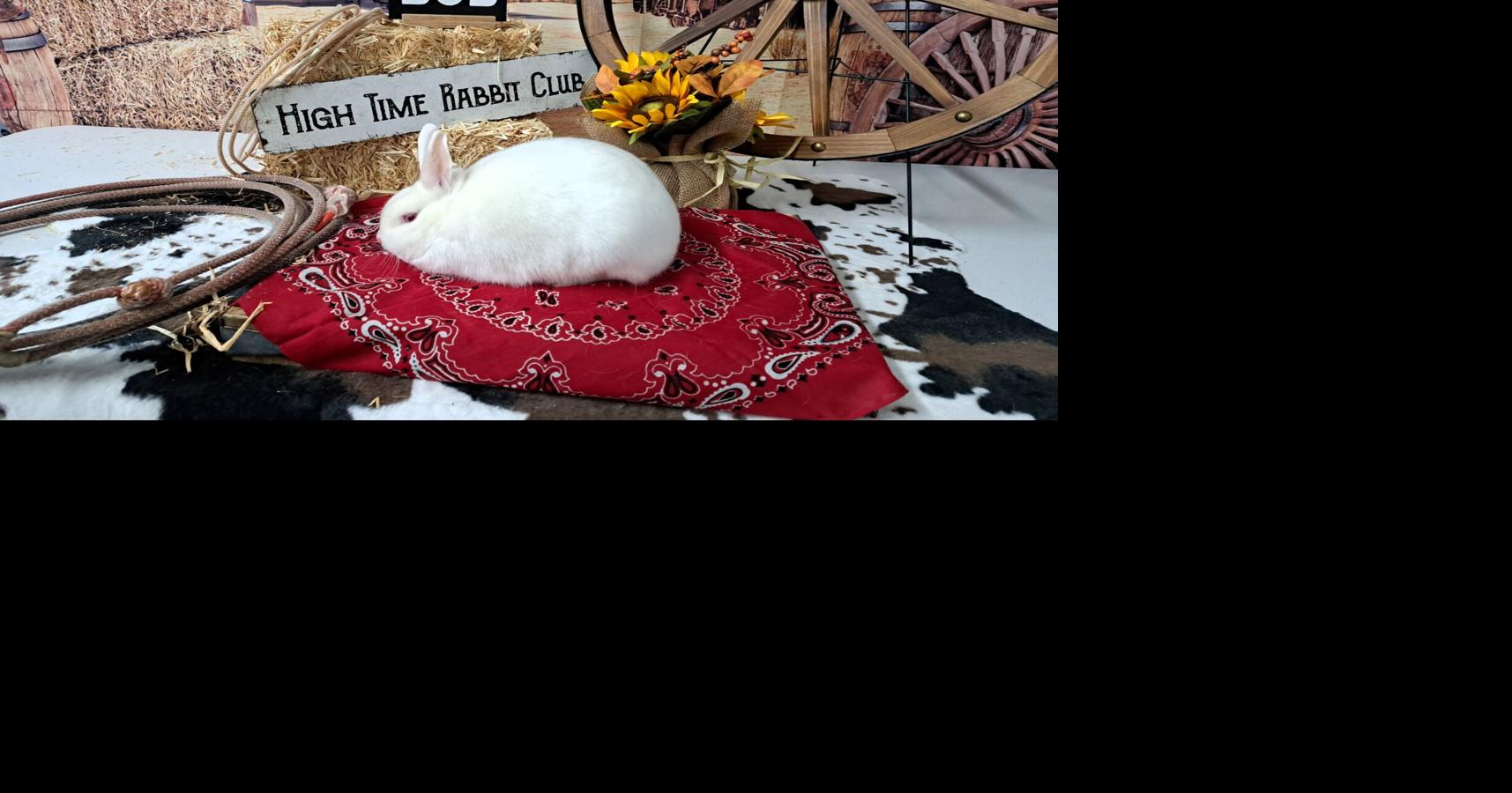 Fur, feathers and fun with Scotts Bluff County 4-H