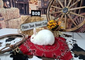 Scotts Bluff County 4-H 3.jpg