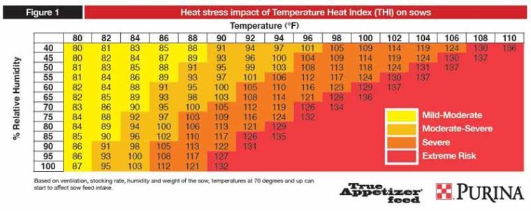 Temperature Heat Index