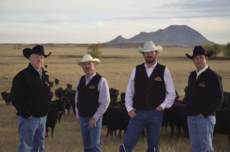 Bliar Brothers Angus (1).jpg