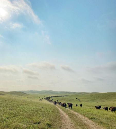 PPR Katie Kaliff-Jagels (4).jpg