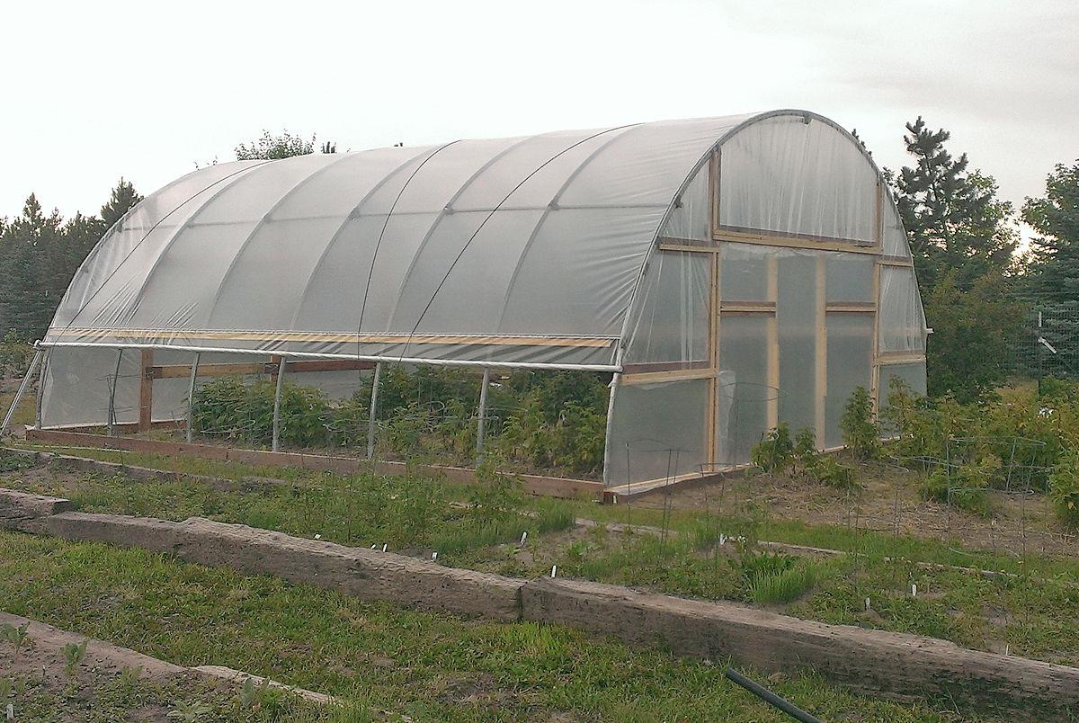 Extend the growing season with a high tunnel Crop