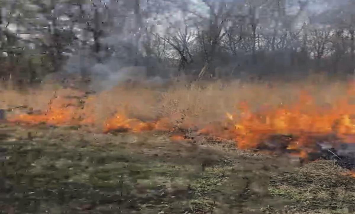 Prescribed burn