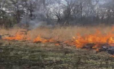 Prescribed burn