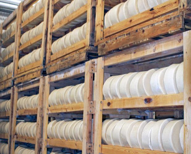 Cheese wheels