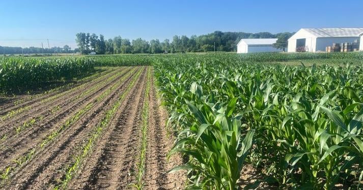 Select corn by growing degree days