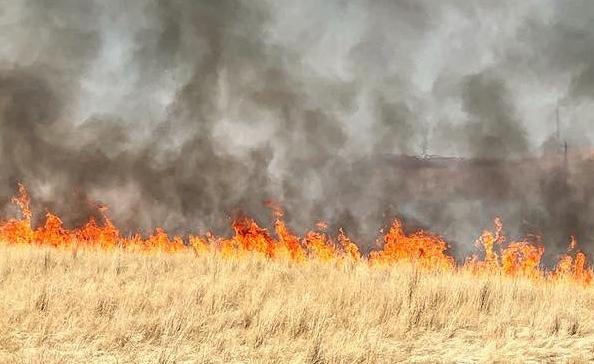 Grass fire