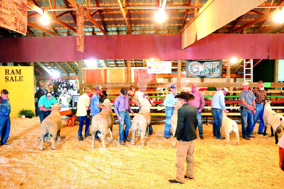 Newell Ram Sale PIC 0529pr