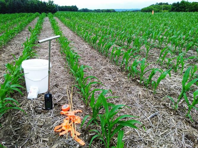 Preparation supplies for a zero-nitrogen plot