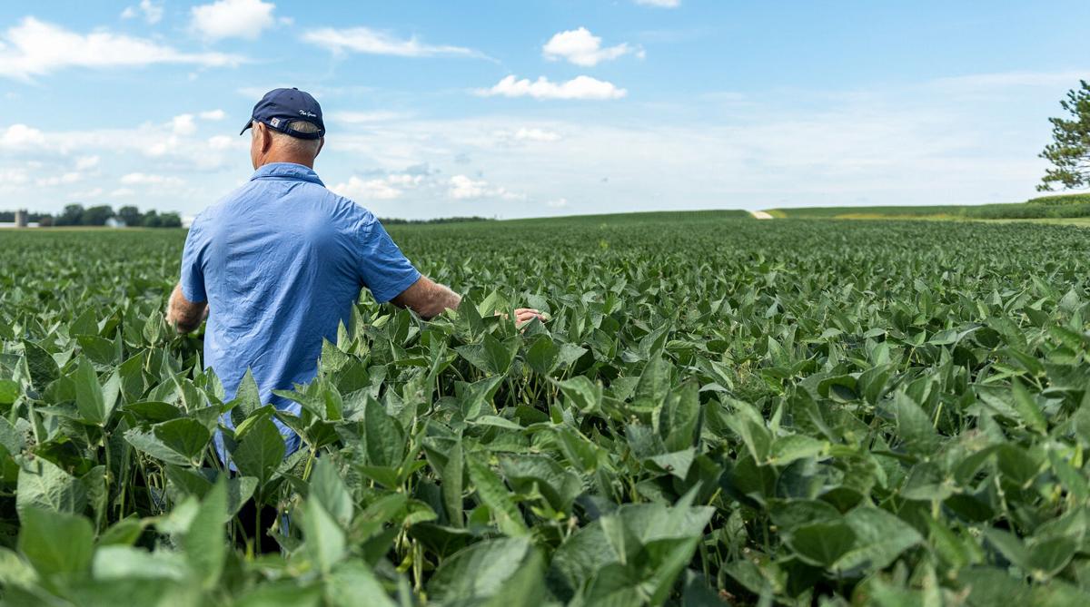 Farmer in field