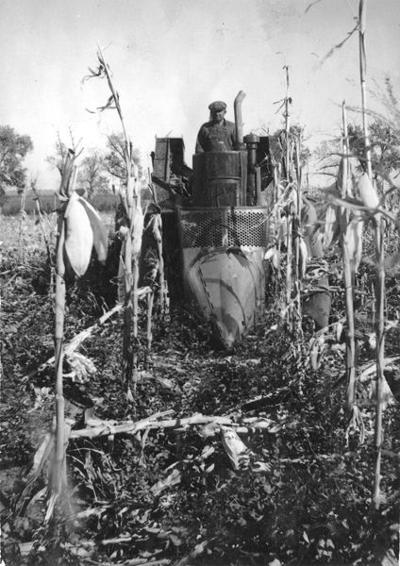 Tinker Technician Farmer Friend