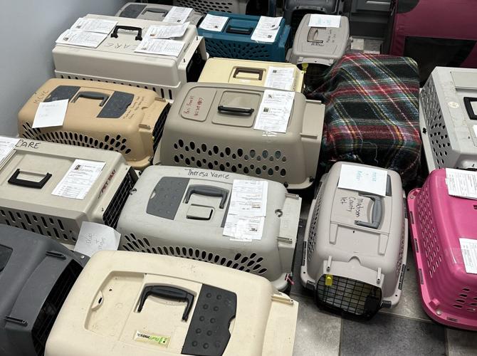 Barn cat program 3.JPEG