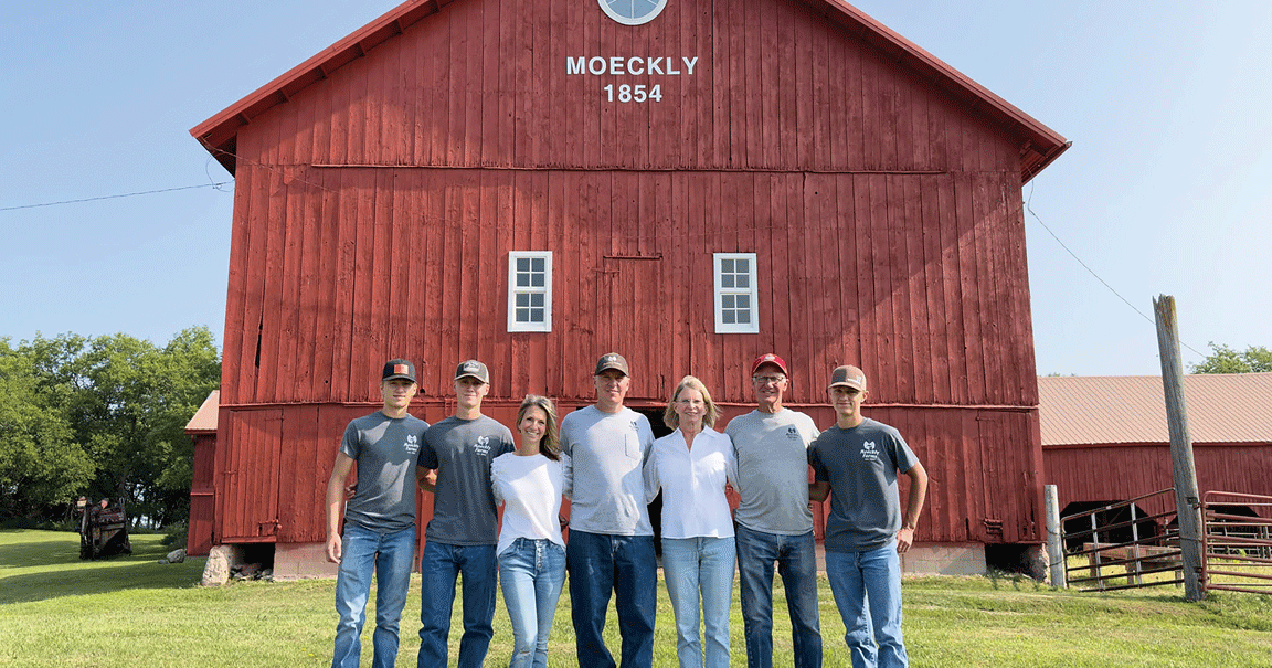 Eight-generation farm raises rare cattle breed