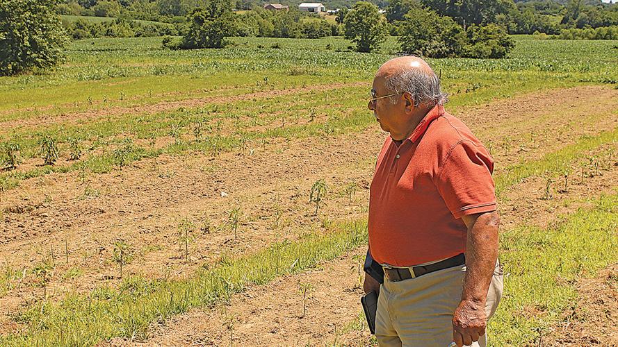 Gerardo “Jerry” Jimenez checks young pepper plants
