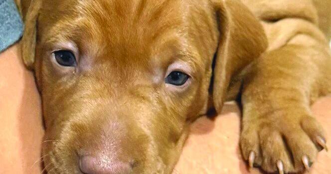 Appreciate the lessons that make us who we are