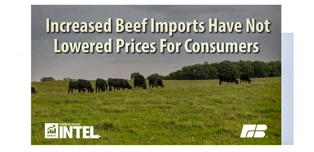 Beef imports