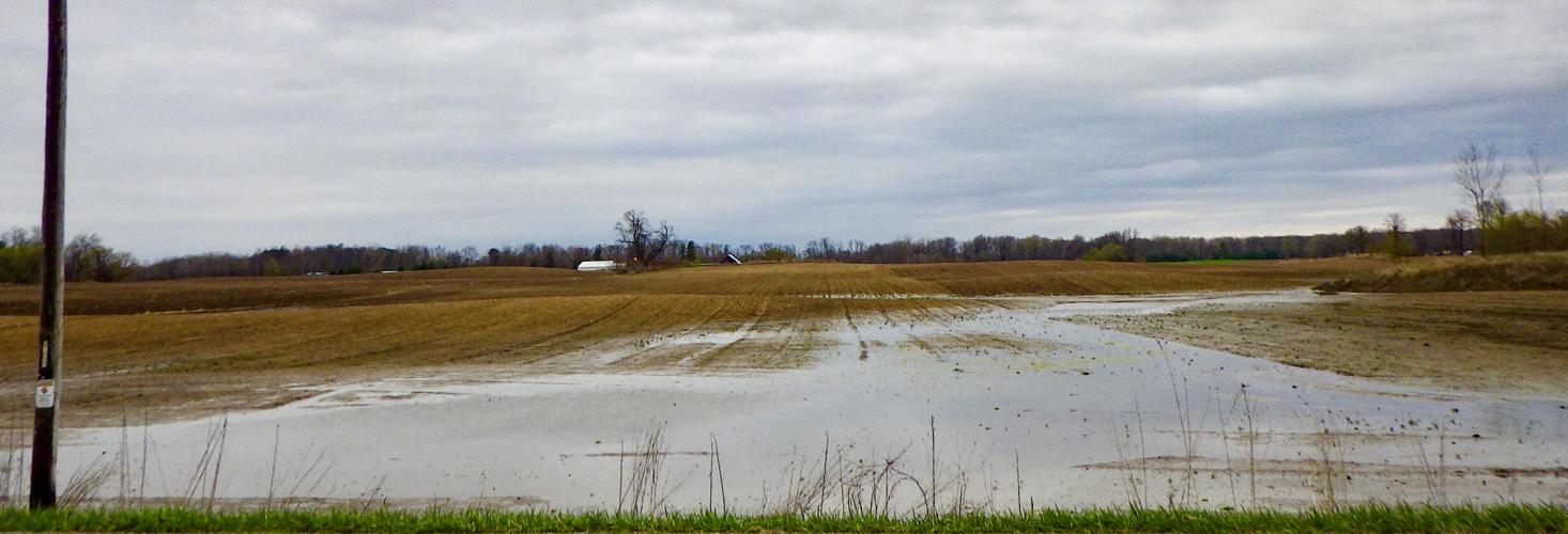 Water in field