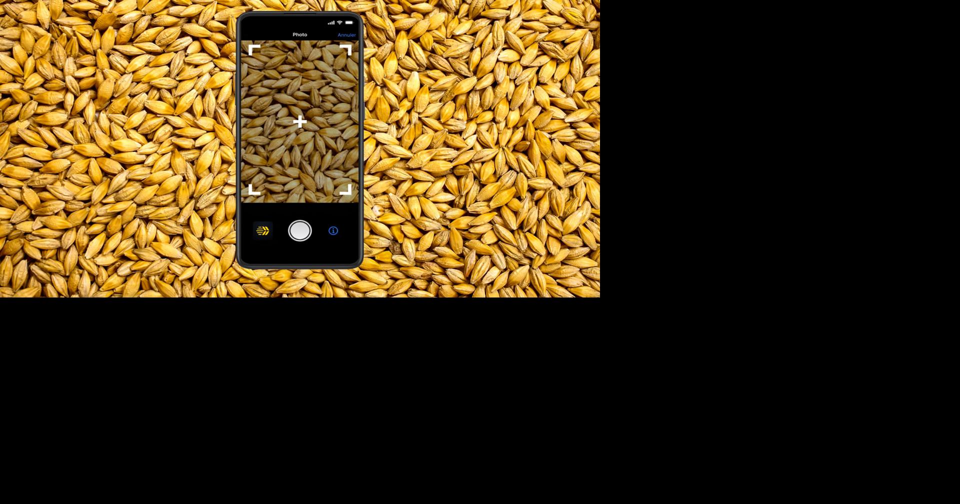 Smartphone safety features every farmer should know