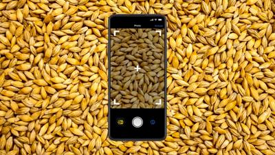 Phone with grains (copy)