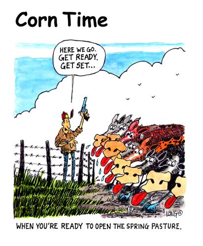 Corn Time by Bob Lang
