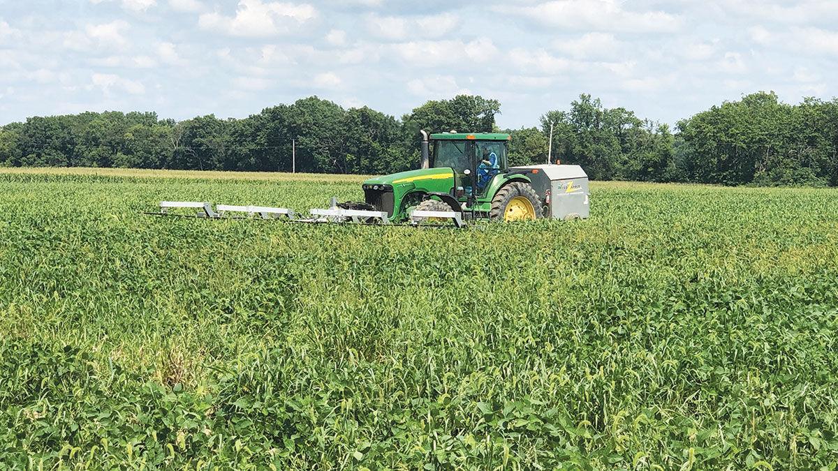 Weed Zapper electrocutes weeds in fields