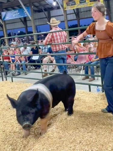 Josie Bailey with pig