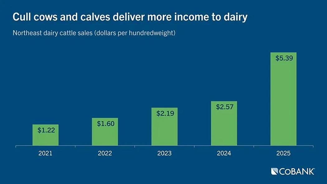 Dairy income