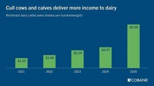 Dairy income