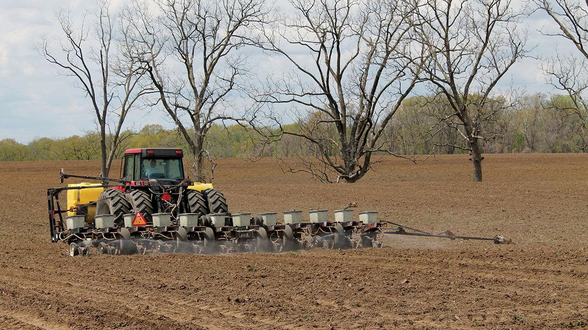 Planting survey