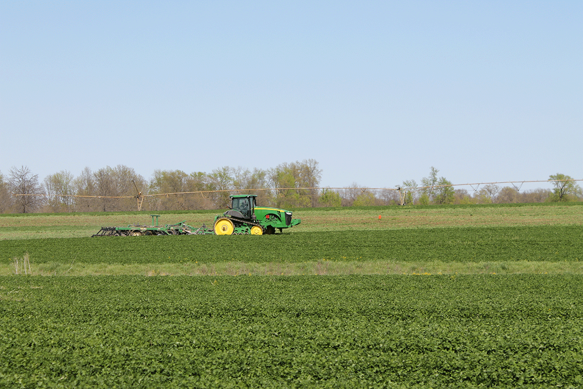 tilling cover crops