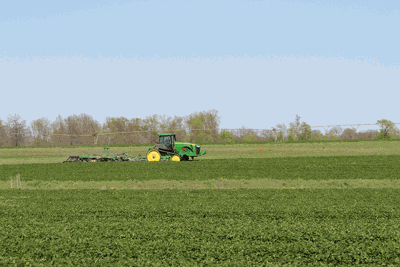 tilling cover crops