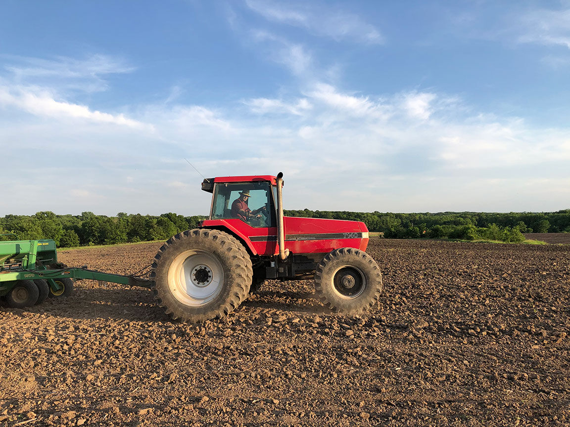Dan Herrold spring planting
