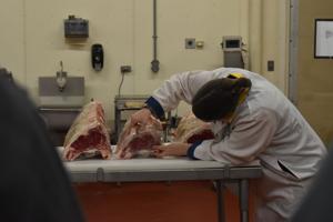 Cattlemens Ed Day (20).JPG