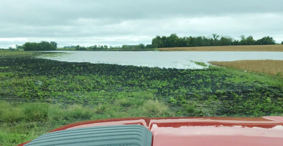 Wet fields reflect recent rains