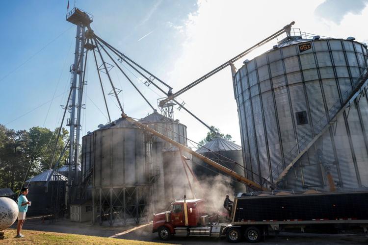 USDA ousts four women from soy board, rolls back decade of gains for female farmers