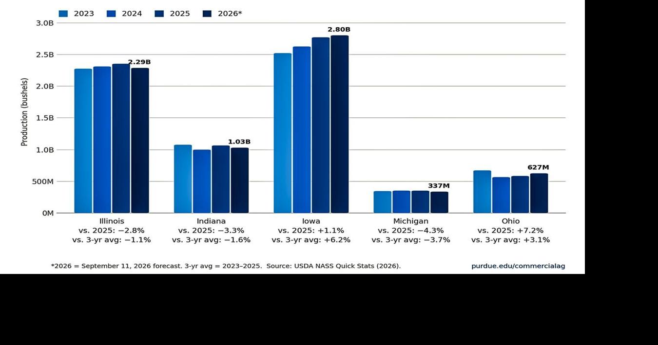 Corn production