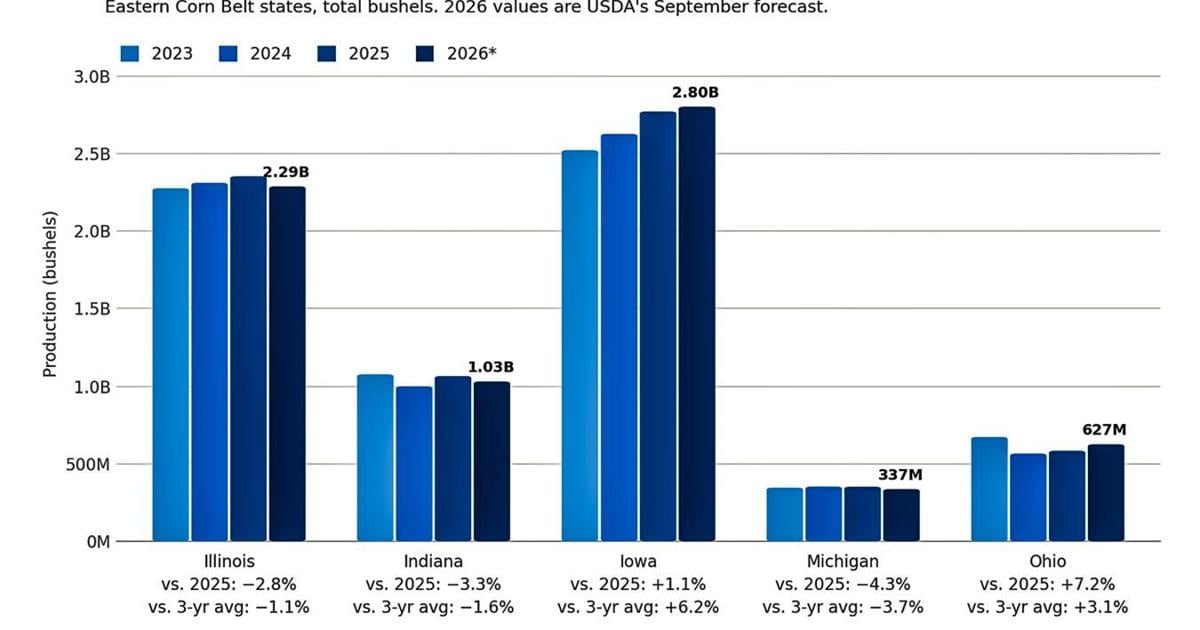 Corn production