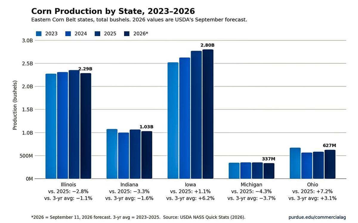 Corn production