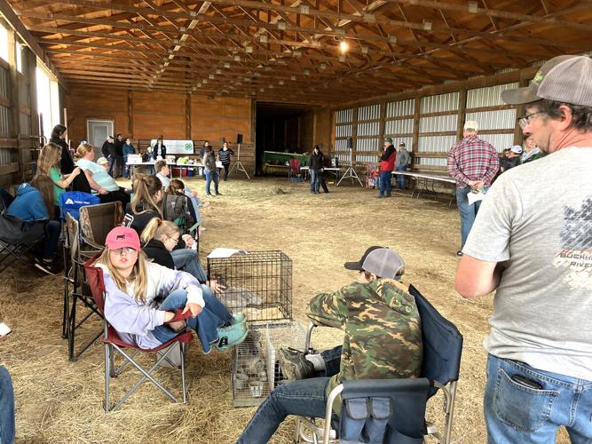 4-H'ers at camp