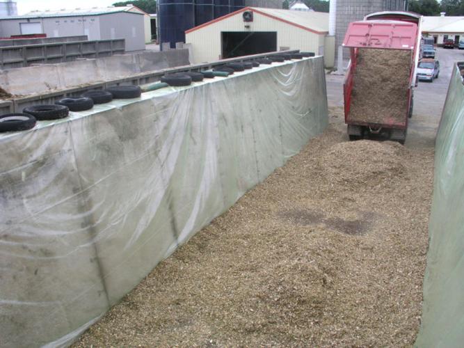 Maintain forage quality with attention to detail at bunkers