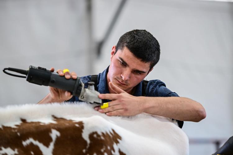 World Dairy Expo 2025