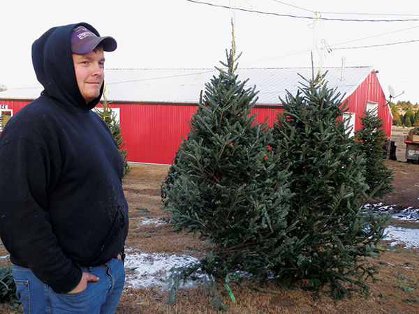 Tyler Kasl cut Christmas trees Fraser firs