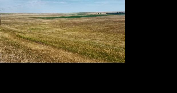 Ongoing drought affects cattle producers - Vimarsana News