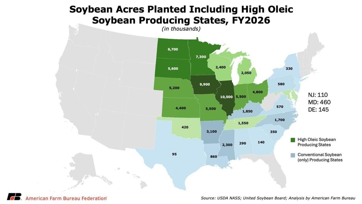 Soybean acres