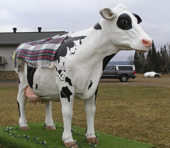 Dairy cow statute