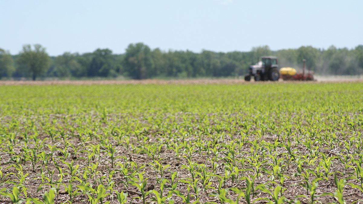 Spring fertilizer