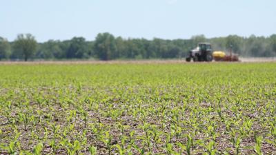 Spring fertilizer
