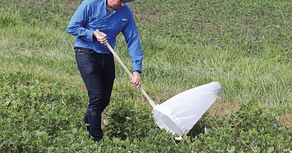 Humidity pushes crop disease development