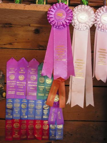 Fair ribbons