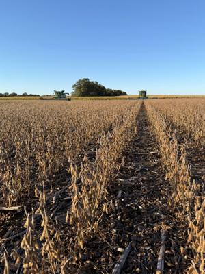 Scott and Rachel Spear both combine in their combines